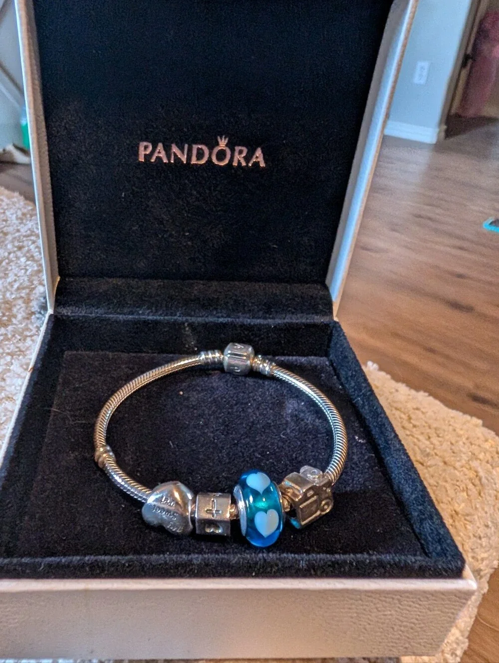 New Pandora Charm Bracelet - Picture 1 of 3